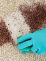 Top 10 Carpet Cleaning Mistakes…