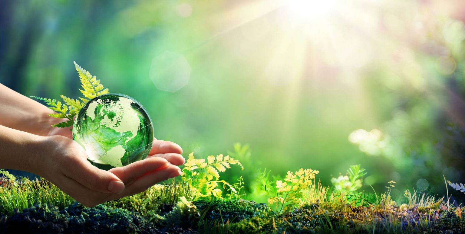 Join Us On Our Journey To A Greener Cleaner World | Blog