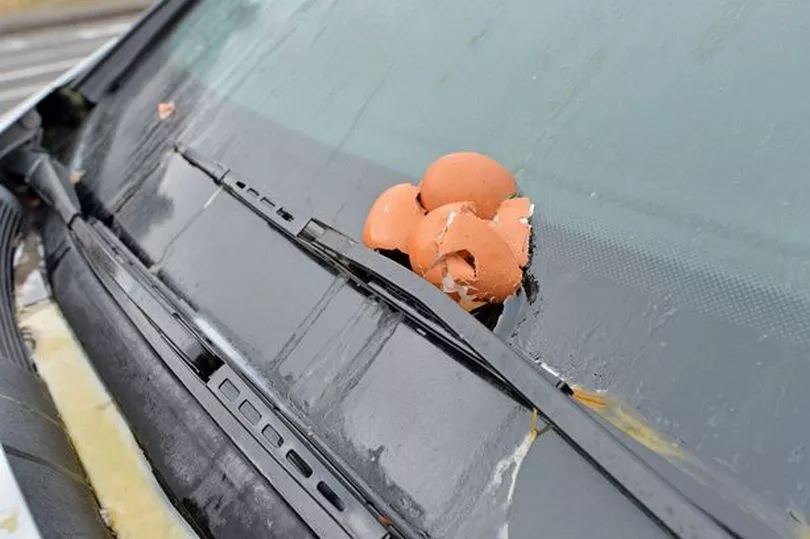 egged car