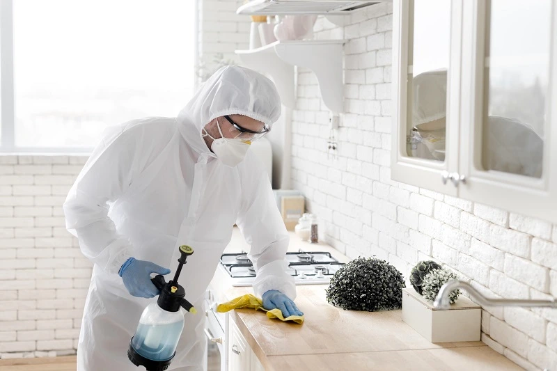 <a href="https://www.freepik.com/free-photo/medium-shot-man-disinfecting-countertop_8514516.htm#fromView=search&page=1&position=39&uuid=595d2f27-2655-4877-bb9e-b1ecf695e279&query=disinfection">Image by freepik</a>